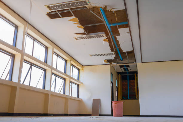 Best Ceiling water damage repair  in Woodmore, MD