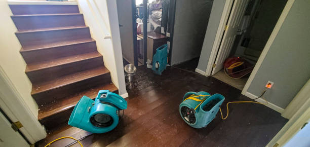 Best Emergency water damage restoration  in Woodmore, MD