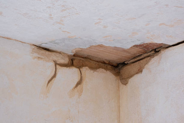Best Fire Damage Restoration  in Woodmore, MD