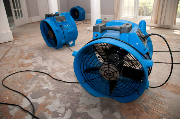 Best Mold removal after water damage  in Woodmore, MD