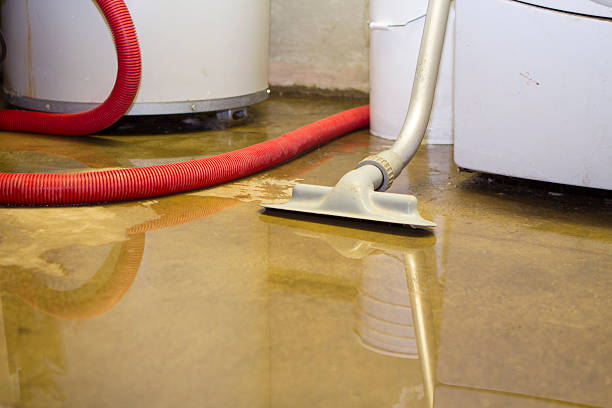 Best Professional water damage repair  in Woodmore, MD