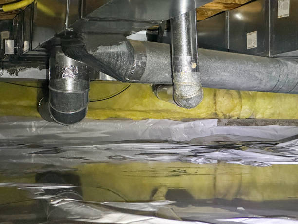 Best Carpet water damage restoration  in Woodmore, MD