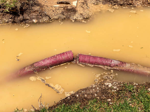 Best Water damage restoration services  in Woodmore, MD